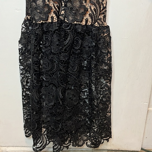 Dress the Population Sophia lace mermaid gown - Picture 7 of 15